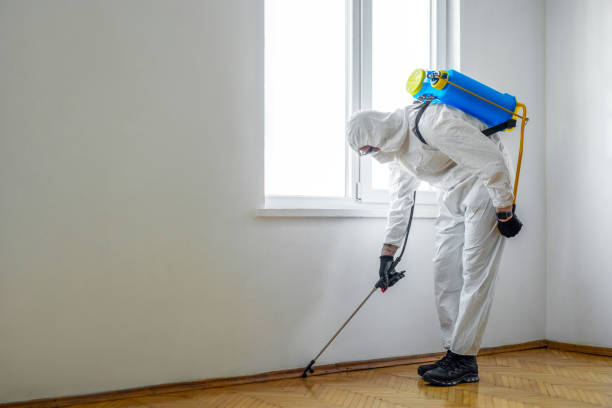 Pest Control for Hotels in Chicago, IL